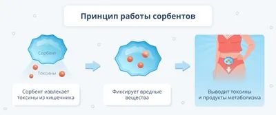 Макадамия в скорлупе (с ключом в комплекте), VegaGreen, 1 кг - отзывы  покупателей на Мегамаркет