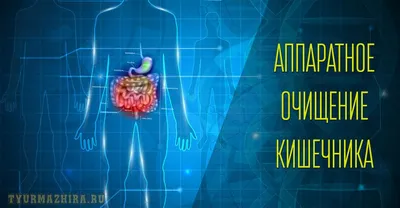 Очищение кишечника и всего организма — Медицинский центр «Целитель»