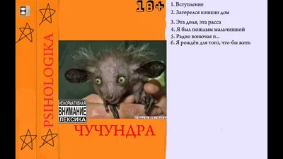 ЧУНДРА ЧУЧУНДРА НЕ ГОВОРИ ТАК ПОН — ОТКУДА МЕМ? - YouTube