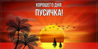 Открытка для любимых и родных Пусичка Хорошего дня. Открытки на каждый день  с пожеланиями для родственников.