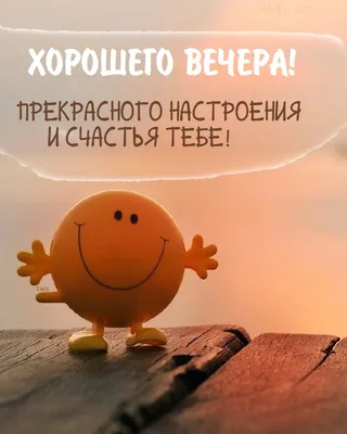 Чудесного вечера!.