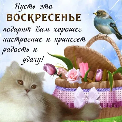 Открытки - Отличных выходных!💜💖💗 Вот и настали выходные, которые так  ждали, так верили, так надеялись на них. Пусть пройдут он неспешно, дарят  радость и позитив, наполняют отдыхом, улыбкой и светом. А дома