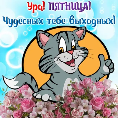 пятница 🥂🌸🌺, отличных выходных 💐 | TikTok