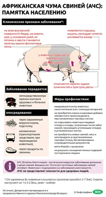 Болезнь чума: история, суть, симптомы, сколько умерших