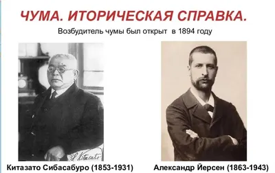 Танцы больных чумой: загадка Средневековья | За ГРАНЬЮ Истории | Дзен