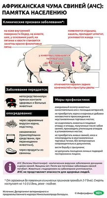 Чума, Альбер Камю, Фолио купить книгу 978-966-03-9169-7 – Лавка Бабуин,  Киев, Украина