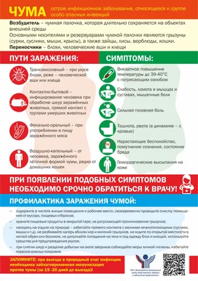 Библейские Векторные Иллюстрации Серии Десять Казней Египта Седьмая Чума  Чума Векторное изображение ©rudall30 666141110