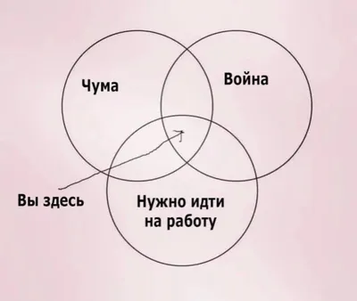 Бубонная чума: что такое, история угрозы, симптомы и лечение болезни,  случаи в России: Общество: Россия: Lenta.ru