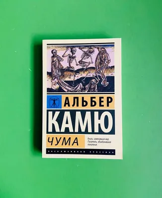 Африканская чума свиней распространяется дальше по Красноярскому краю »  Запад24