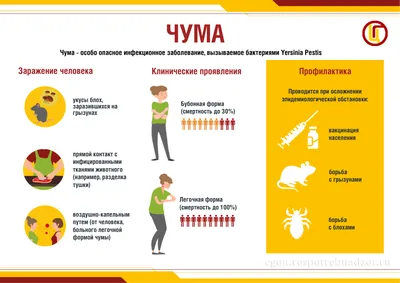 Бубонная чума бушует в Монголии, введен бессрочный карантин