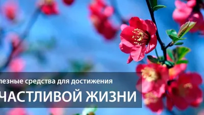 Мусульманская открытка с Днём Рождения \"Пусть Аллах хранит тебя!\" • Аудио  от Путина, голосовые, музыкальные