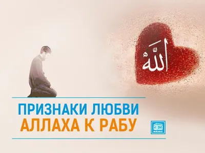 Ибн 'Аббас, да будет доволен им Аллах, рассказывал: «Однажды, когда я сидел  верхом позади Пророка (мир ему.. | ВКонтакте