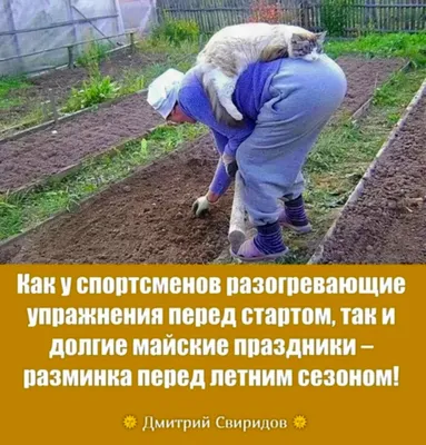 Дача и огород... Хорошо лежим!))) | Пикабу