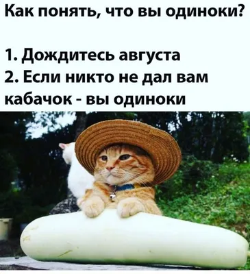 мем #прикол #юмор #рофл #нинатикток #нинаалександровна #бабка #бабушк... |  TikTok