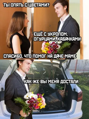 Дача | Пикабу