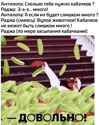 Дача юмор картинки