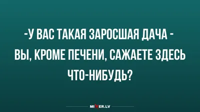 Дача: истории из жизни, советы, новости, юмор и картинки — Лучшее, страница  39 | Пикабу