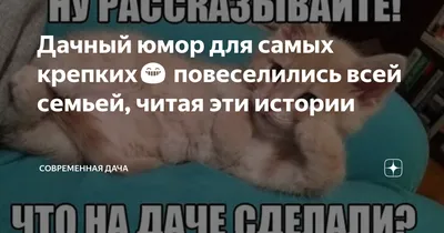 😄#юмор #мойюмор #дача #огород #смехдослёз #приколы #смешноевидео | TikTok