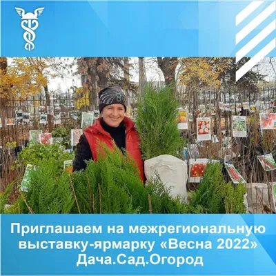 Грядки на огороде - креативные идеи | Ландшафтный дизайн | Фото | GreenPost