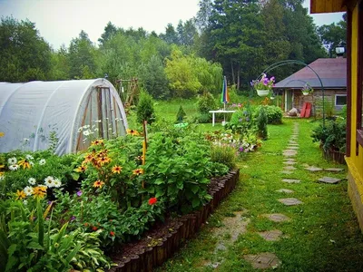 Сад, огород, дача, загородный дом | Дизайн озеленение, Дизайн сада,  Небольшие передние дворики