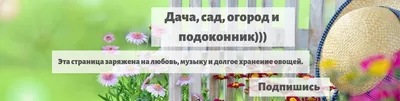 Сад и Дом on X: \"#Сад #Огород #Дача #Участок #Дом #Клумба- #Сооружаем  клумбу на даче своими руками https://t.co/HeutJ6WrpE  https://t.co/MzhcCSxaxD\" / X