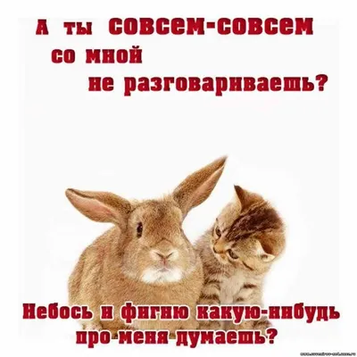 Давай мириться, я скучаю🥺 если повздорили с любимой, отправьте наш бокс  который поможет поднять настроение и станет поводом применения… | Instagram