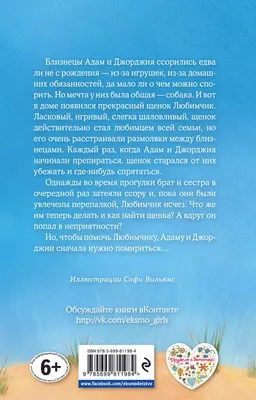 Заказать к букету открытку «Давай мириться»