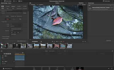 Как обрабатывать фотографии в DaVinci Resolve | Dehancer