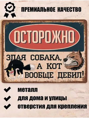 Как говорил один мой преподаватель: \"Учись! Пока поймут, что ты дебил, ты  уже майор. Пока решат, чт / текст на белом фоне :: политика (политические  новости, шутки и мемы) :: карьерный рост /