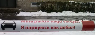 Станислав Садальский, Дебил-шоу, В последнее время к его страсти  чревоугодничества добавилась страсть сочинительства. Как знать, может,  родится новый Достоевский...(919) — купить в Красноярске. Состояние: Б/у.  Художественная на интернет-аукционе Au.ru