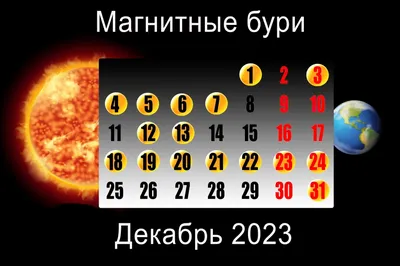 Новогодняя книга-адвент. Волшебный декабрь (Надежда Бегичева, Татьяна  Камшилина) — купить в МИФе