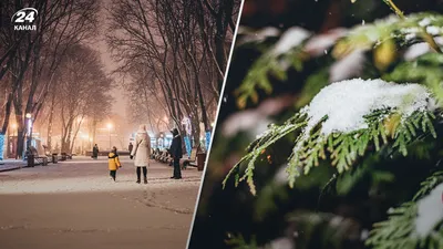 Декабрь на юге Сибири будет теплее обычного