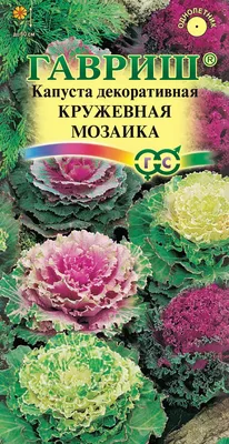 Декоративная капуста для красоты, а не для еды