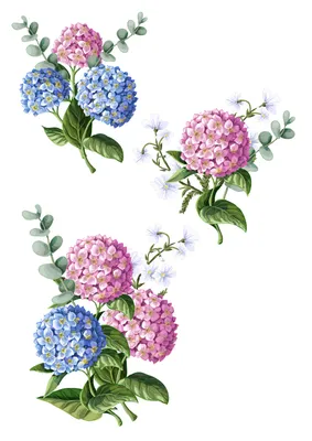 Винтажные цветы - картинки для декупажа - Декупаж - Страна Мам