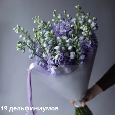 Дельфиниум 633211 – купить по цене 152 ₽ в Москве в интернет-магазине  ogogo.ru