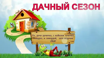 День дачника: садовые угодья и отдых на природе