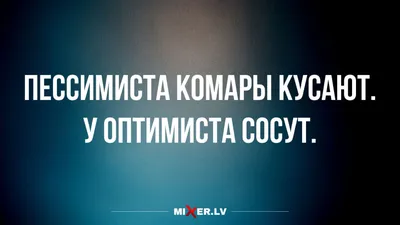 А Вы знали, что 27 февраля - международный день оптимиста?😁 А ещё, сегодня  День улыбок глазами 😍 Люблю необычные и интересные праздники 🤗… |  Instagram