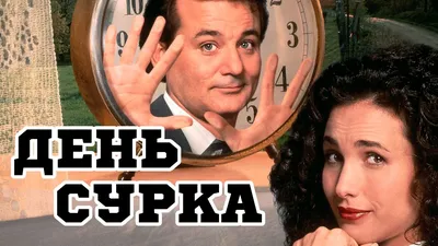 День сурка» в День сурка | CINEMASCOPE