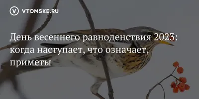 Весеннее равноденствие 2021 в Украине: как отмечается, какие приметы -  Афиша bigmir)net