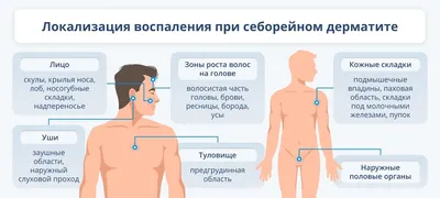 Атопический дерматит у собак: причины, симптомы и методы лечения