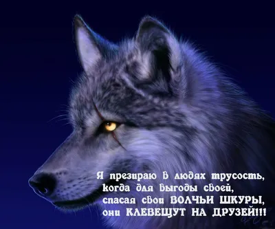 Картинки с надписью мужчина если женщина тебя выбрала смирись (48 фото) »  Юмор, позитив и много смешных картинок