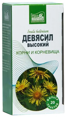 Девясил британский (Inula britannica L.)