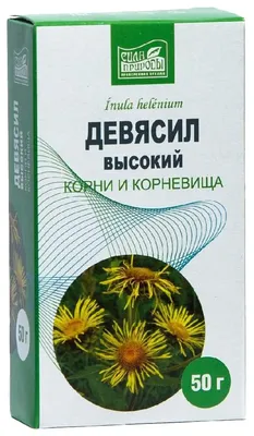 корни целебного растения девясил девясил девясил или девясил Фото Фон И  картинка для бесплатной загрузки - Pngtree