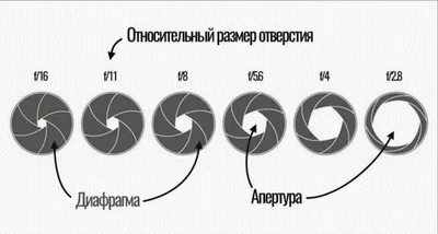 Диафрагма фотоаппарата.