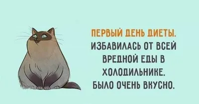 Индивидуальная диета - «Как похудеть до неузнаваемости? Похудение -10 кг за  2 месяца. Все минусы и плюсы соблюдения диет, решать вам!» | отзывы