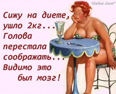 Не хотелось бы хвастаться, но 14-дневную диету я выполнил за 4 часа 27  минут / Приколы для даунов :: кот :: разное / картинки, гифки, прикольные  комиксы, интересные статьи по теме.