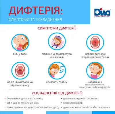 Бактерии Которые Вызывают Дифтерию — стоковые фотографии и другие картинки  Дифтерия - Дифтерия, Бактерия, Corynebacterium - iStock