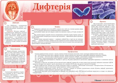 история болезни Дифтерия локализованная | Рефераты Инфекционные болезни |  Docsity