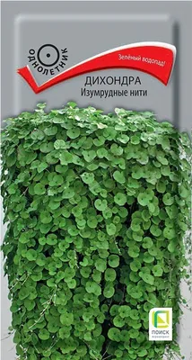 ᐉ Семена Професійне насіння дихондра Серебряный водопад 5 шт.  (4823058204314) • Купить в Киеве, Украине • Лучшая цена в Эпицентр К