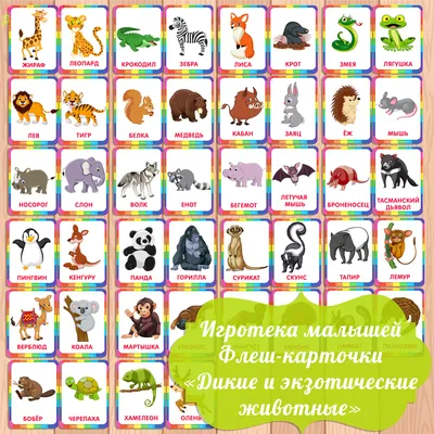 Download and share clipart about Дикие Животные Фото На Прозрачном Фоне -  Леопард Пнг, Find more high quality free trans… | Animals, Animals wild,  Animal companions